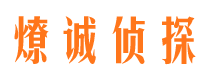 长江新区侦探